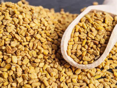 Step by step instructions to Use Fenugreek Seeds To Treat Dandruff