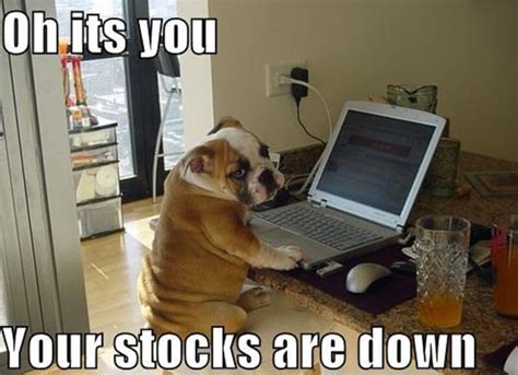 22 Funny Pictures From The Stock Market Trademetria