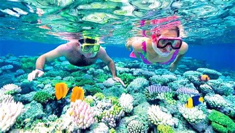 Snorkelling Booking Maldives
