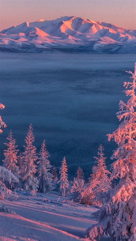 Pink Winter Landscape Wallpaper Backiee