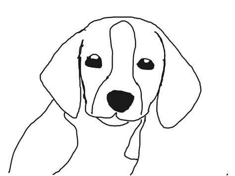 Sketch Dog Beagle Coloring Pages
