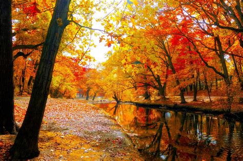 River In Autumn Park