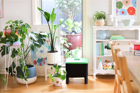 Indoor Worm Farm Explore The Possibilities With The Tumbleweed Cube