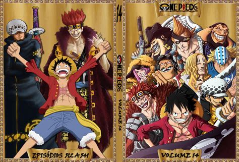Cover Dvd One Piece 14 By Euterpemusa On Deviantart