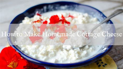 How To Make Cottage Cheese Youtube