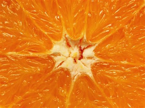 Orange Citrus Fruit Free Photo On Pixabay Pixabay