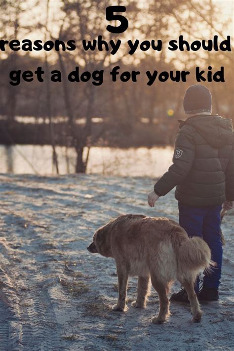 5 Reasons Why You Should Get A Dog For Your Kid Big German Shepherd