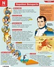 Educational infographic : Napoléon Bonaparte... - InfographicNow.com ...