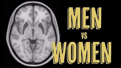 Are Male And Female Brains Different Youtube
