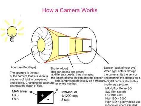 How A Camera Works How Camera Works Photography For Beginners Camera