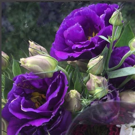 Lisianthus Deep Purple With Images Fresh Wedding Flowers Online