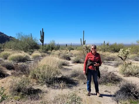 Best Hikes And Trails In Eloy Alltrails
