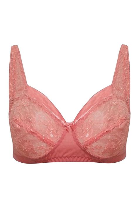 Buy Non Padded Non Wired Full Coverage Plus Size Lace Bra In Pink