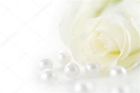 Beautiful White Roses With Pearls Beautiful White Rose With Pearls