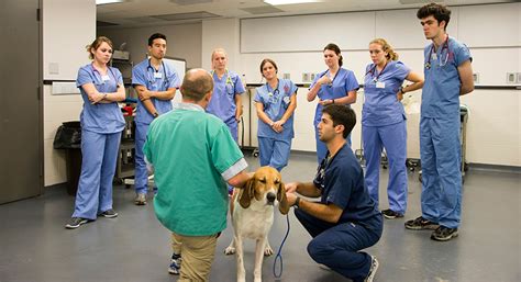 Financing Your Veterinary Education Cornell University College Of