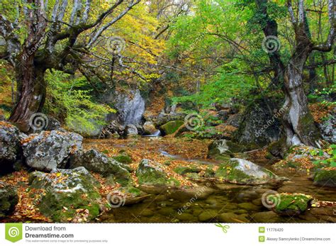 River Stream In High Mountain In Autumn Stock Photo Image Of Green