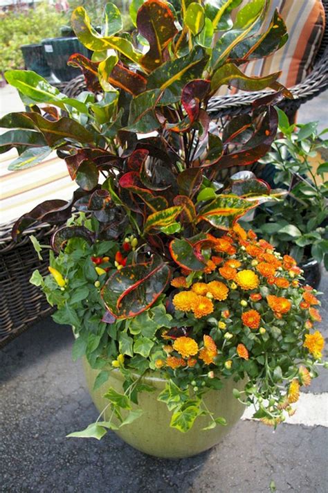 88 Amazing Fall Container Gardening Ideas 30