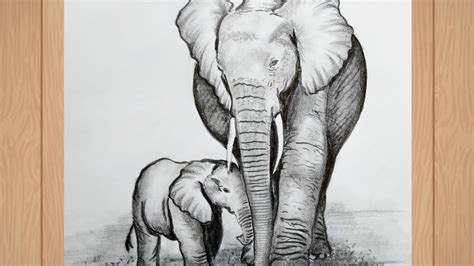 How To Draw An Elephant Mother And Baby Elephant How To Draw