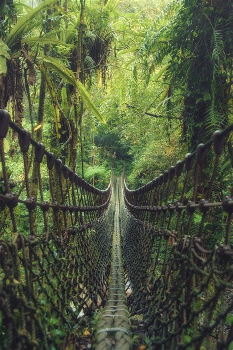 The Travel Guru — Tropical Rope Bridge At Yilan County