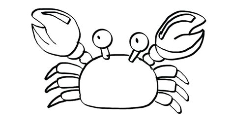 They have no gills after they come to land and choose a shell. Hermit Crab Drawing | Free download on ClipArtMag