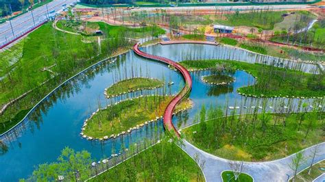 Chengdu Greenways Floral Beauty Draws Spring Tourists Cgtn