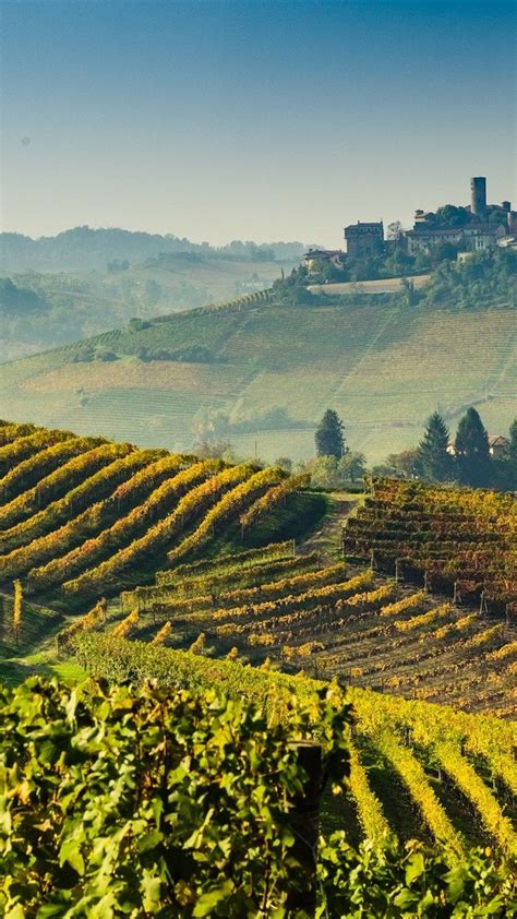 Tuscany 4k Vineyards Agriculture Italy Europe Wallpaper
