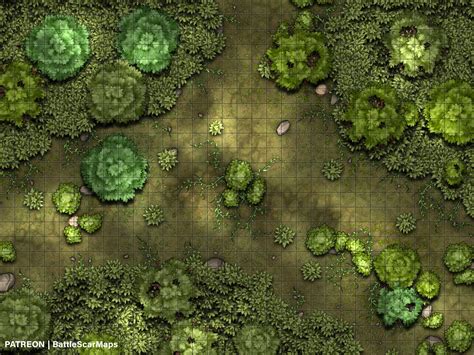 Forest Clearing Battle Map Dnd Battle Map Dandd Battlemap Dungeons