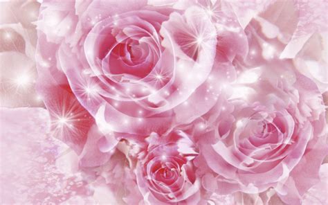 45 Free Desktop Wallpaper Pink Roses On Wallpapersafari