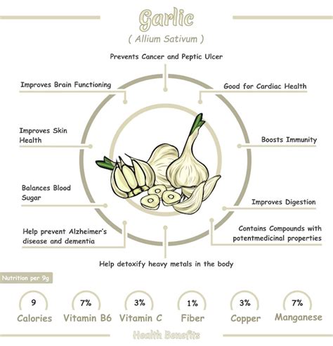 Premium Vector Health Benefits Of A Garlic With Nutrition