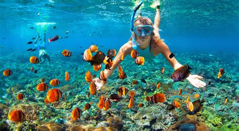 The Difference Between Snorkeling And Scuba Diving Aquaviews