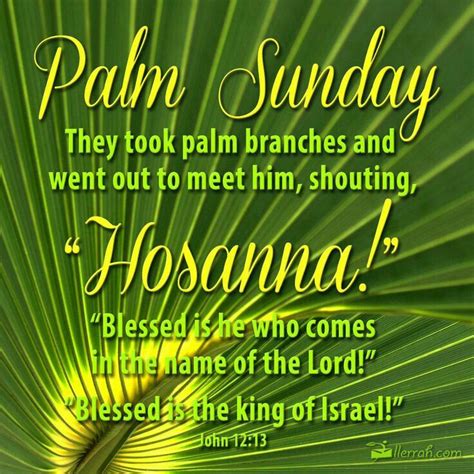 Pin By Seyi Omitoogun On Greetings Palm Sunday Quotes Palm Sunday