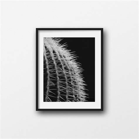 Black And White Cactus Wall Art Photo Print Cactus Needles Etsy