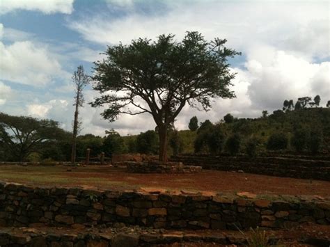 Tree And Ancestors Tree Konso South Erhiopia Places To See