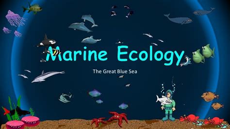 Marine Ecology Ppt