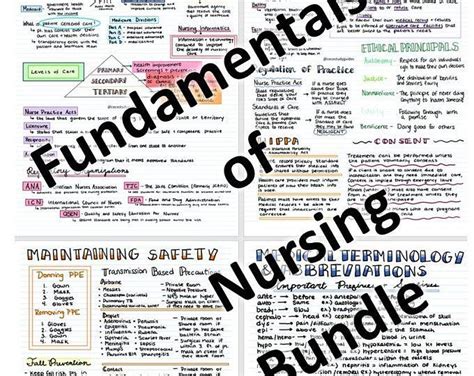 Nursing School Study Guides By Cecestudyguides On Etsy Fundamentals