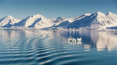 Arctic Scenery With Snow Covered Photograph By Raffi Maghdessian Fine