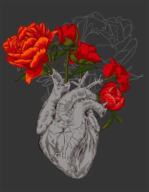 148 28 tree tree of life frame. Drawing Human Heart With Flowers Stock Illustration - Image: 60153491
