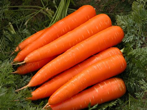 10 Health Benefits Of Carrot Fruit That Will Amaze You