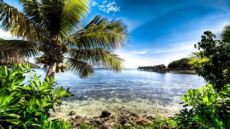 Visit Nadi Fiji Destination Information