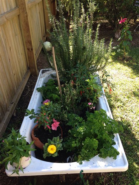 For a creative twist on raised bed or container garden, give old vintage bathtubs a try! Herb garden in old bath tub | Pinterest garden, Veggie ...