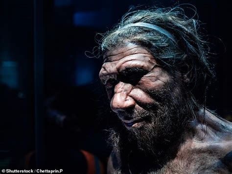 Neanderthal Dna Found In African People For First Time Ever Daily Mail Online