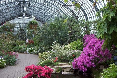 Conservatory Conservatory Greenhouse Plants