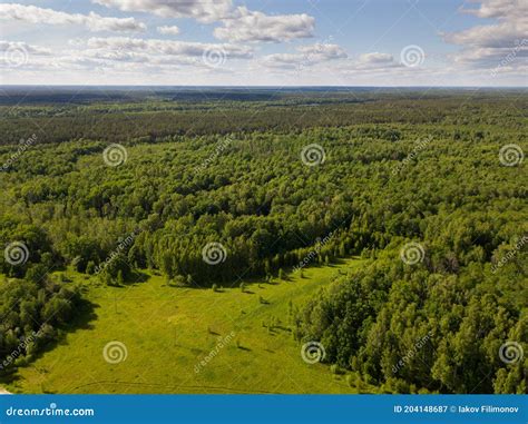 Forest Landscape In Central Russia Stock Image Image Of Nature