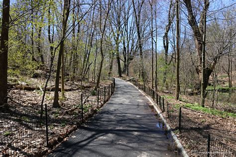 20 Photos Of New Yorks Beautiful Central Park World Adventurists