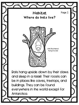 Description of bats the bat is described as a mouselike nocturnal flying mammal of the family chiroptera. Bat Informational Text and Animal Research Booklet by First Grade Critters