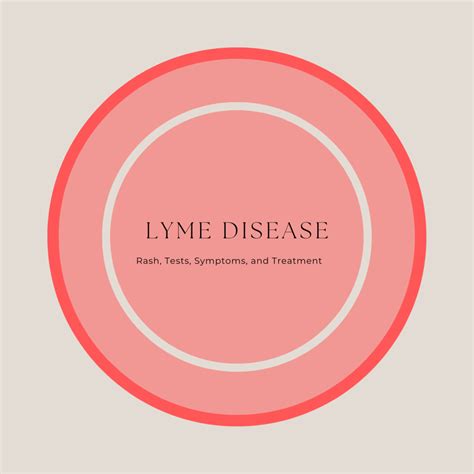 Lyme Disease Rash Pictures Test Symptoms Causes Treatment