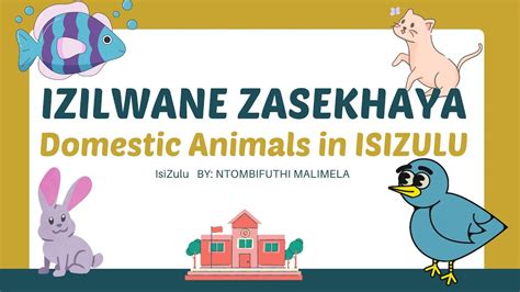 Izilwane Zasekhaya Domestic Animals In Isizulu Youtube