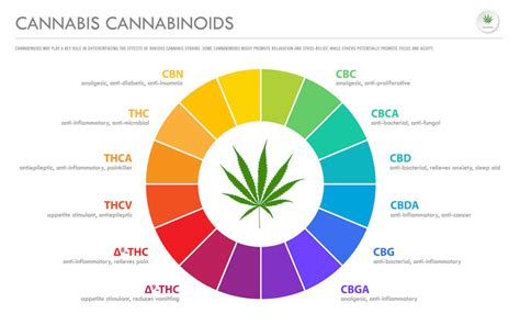 what are cannabinoids list of every major cannabinoid