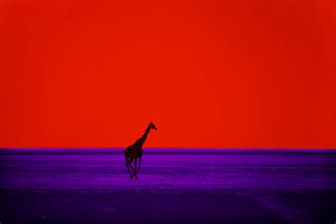 Pete Turner Whose Color Photography Could Alter Reality Dies At 83