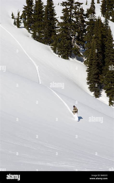 Snowboarder Riding In Deep Powder Snow At Whistler Bc Stock Photo Alamy
